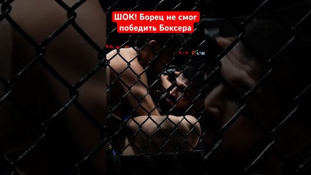 ШОК! Борец не смог победить Боксера #kazmma #mma #мма #бокс #б