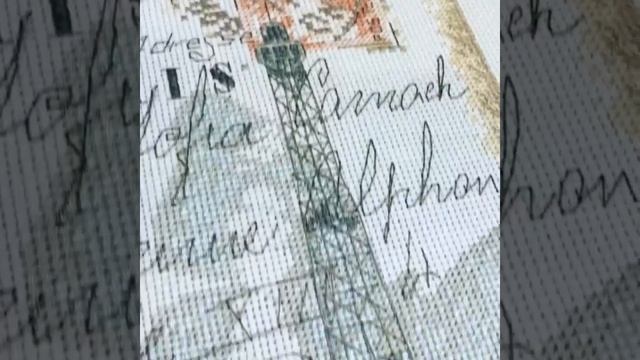 Dimensions. Парижская гортензия. Вышивка крестом.