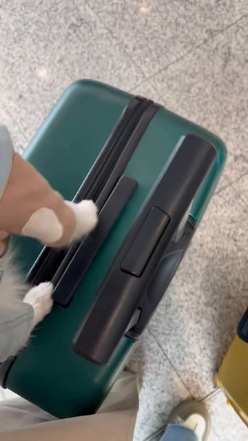 Собака не хочет сидеть в переноске !!! смотреть онлайн