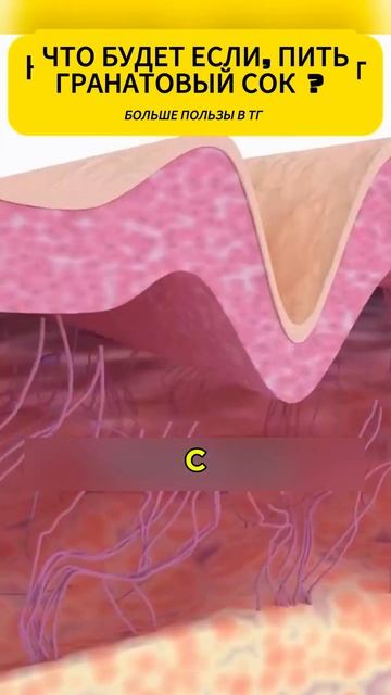 Гранатовый сок каждый день! Какие изменения произойду смотреть онлайн