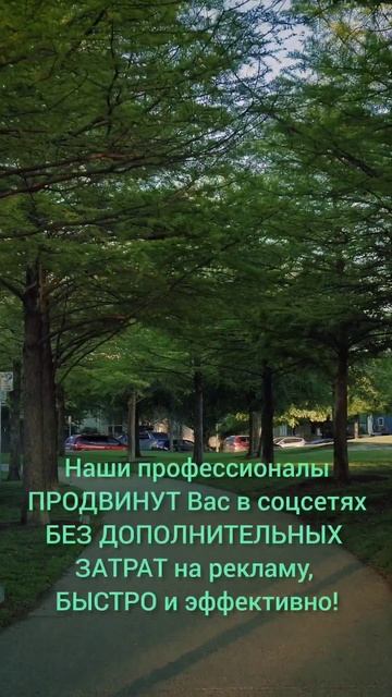 Есть большое желание стать звездой в социальных сетях смотреть онлайн