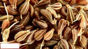 Анис Обыкновенный: Полезные Свойства и Применение