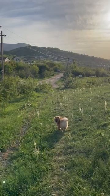 Идём на дачу 🥰 смотреть онлайн