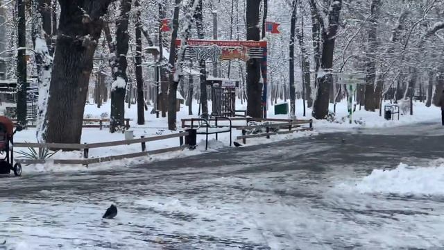 Краснодар..Роща,прямо сейчас! смотреть онлайн