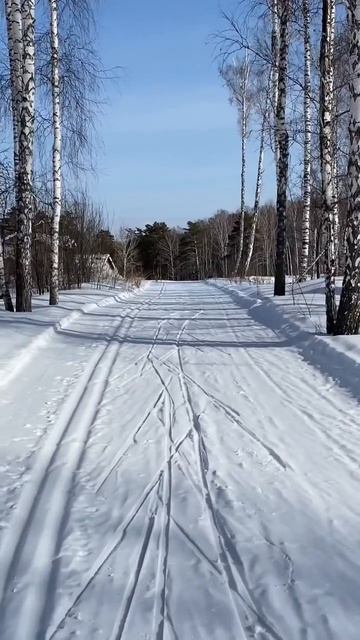 Интересно какого это жить в 20 метрах от лыжной трассы. смотреть онлайн