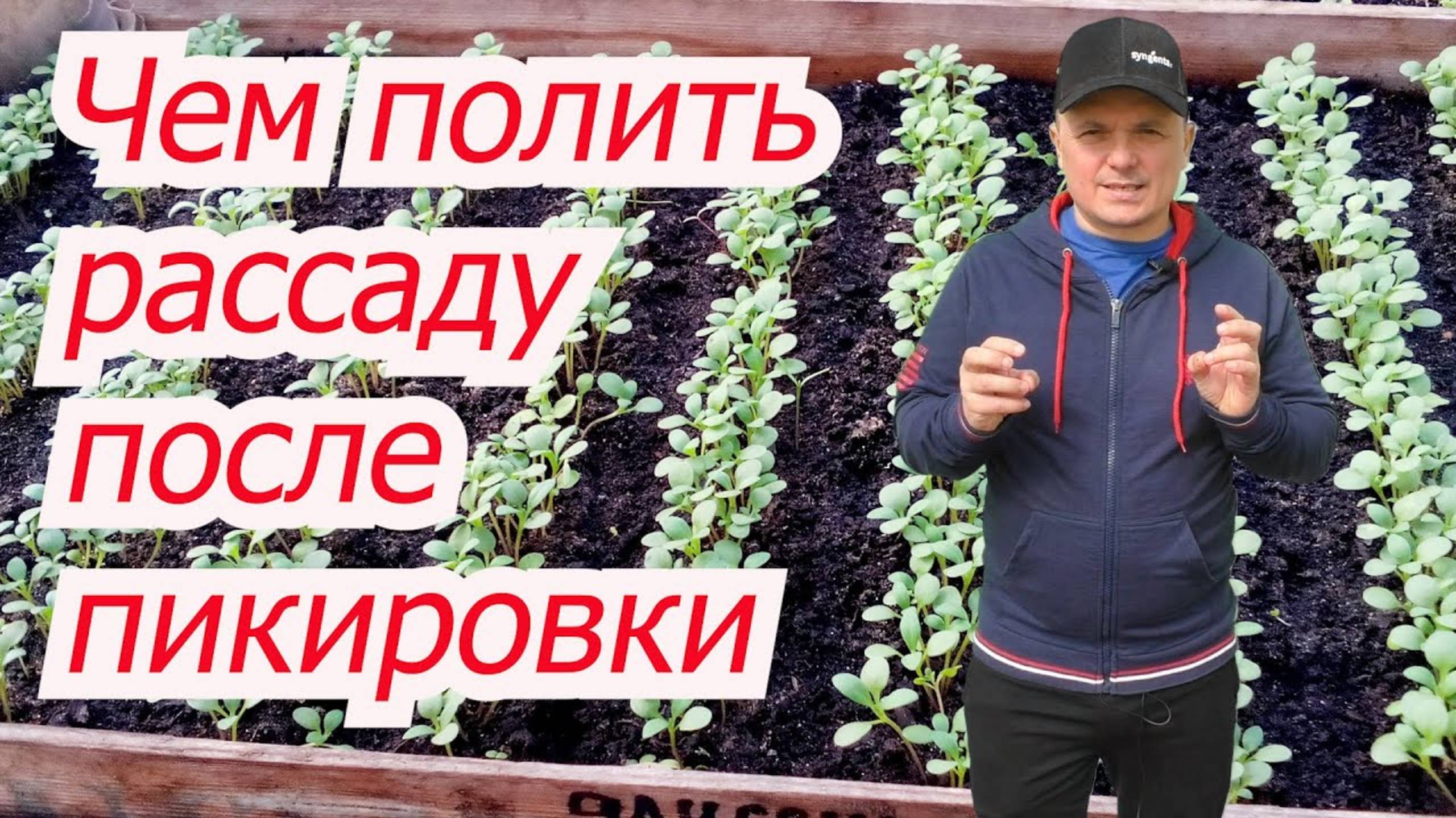 Полейте этим 