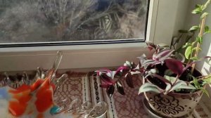 #Гутное  #стекло. Что это такое? Когда и где изготавливалось. Яркие, нарядные изделия.