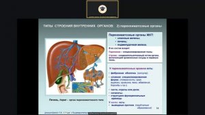 Анатомия "Спланхнология: пищеварительная и дыхательн?