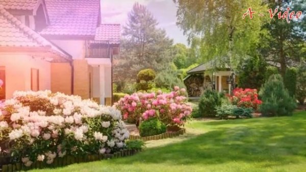 Примеры участков с красивым дизайном / Inspiring ideas for landscap