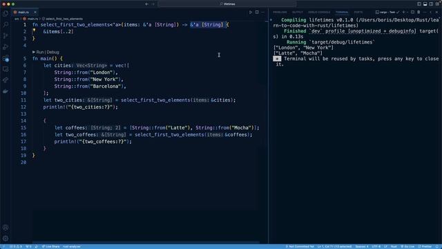 19.009. Intro to Generic Lifetimes смотреть онлайн