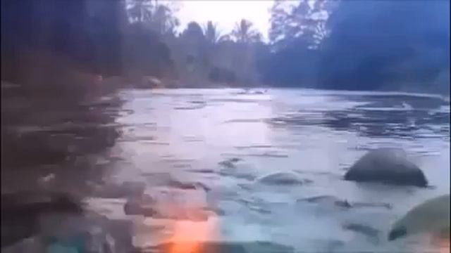 К свекрови приезжаем - муж готов ножки от стула есть, в? смотреть онлайн