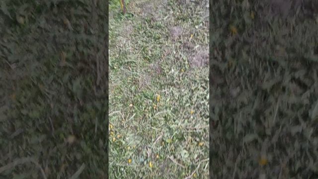 прятки челендж/2часть смотреть онлайн