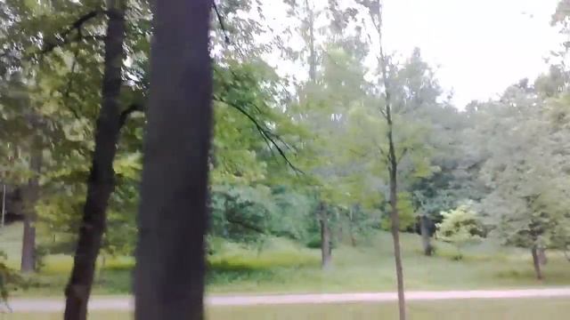 Питер ### смотреть онлайн