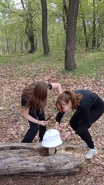 ЭТО МОЙ ГРИБ!!!!!! смотреть онлайн