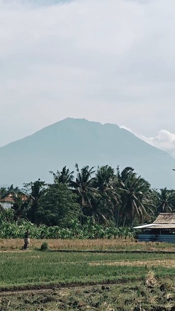 Внутри вас есть гуру, который готов подсказать ответ н смотреть онлайн