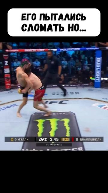 😳Сотворил сенсацию! О’Мэлли vs Двалишвили #мма смотреть онлайн