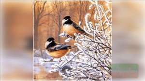 РАННЯЯ ВЕСНА В ЛЕСУ.РЕЛАКС ДЛЯ ОТДЫХА И ХОРОШЕГО ВЕСЕННЕГО НАСТРОЕНИЯ