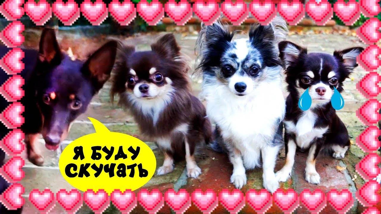 Она уехала… 🚑💔 Кто теперь будет рядом с Илаем? смотреть онлайн