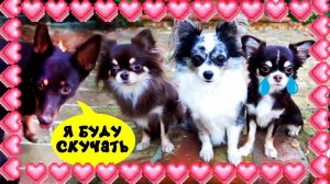 Она уехала… 🚑💔 Кто теперь будет рядом с Илаем?