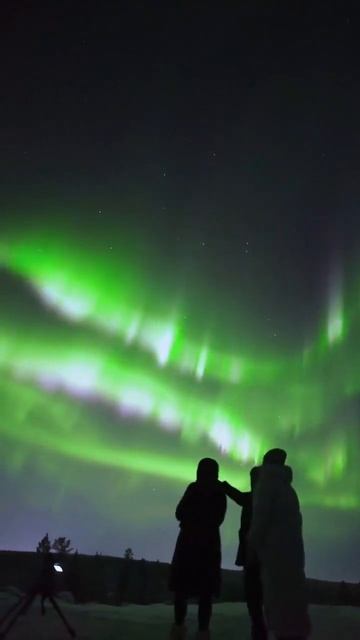 Розовое северное сияние в Мурманске попало на видео! смотреть онлайн