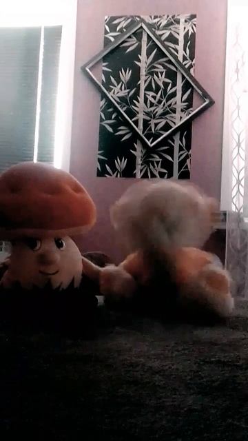 тут и Симба есть гриб ок тут много кого есть смотреть онлайн