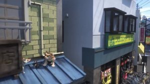 Мультфильм Чёрный кот