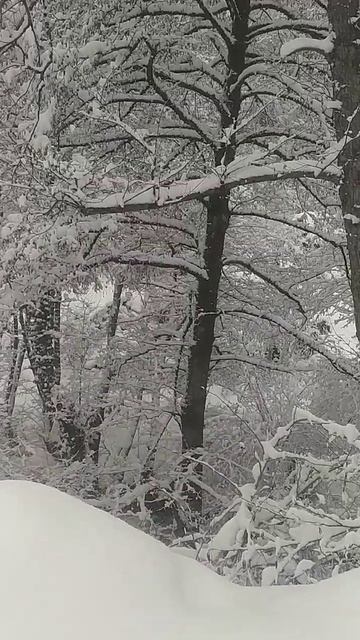 Сочи Красная поляна смотреть онлайн