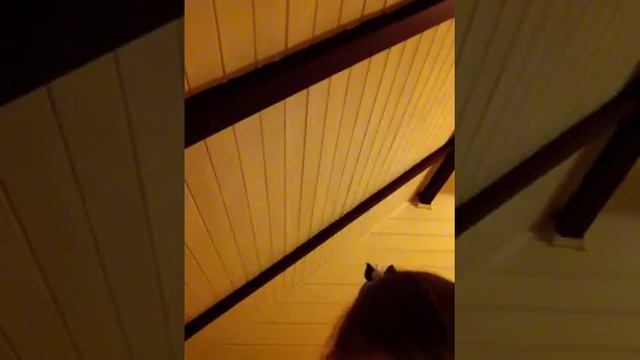 Повторяю за смайликами смотреть онлайн