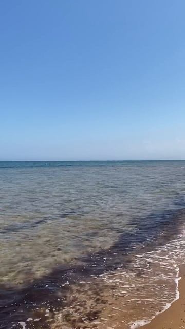 Азовское😍Кучугуры, Голубицкая, чистое море #отдых #ку смотреть онлайн