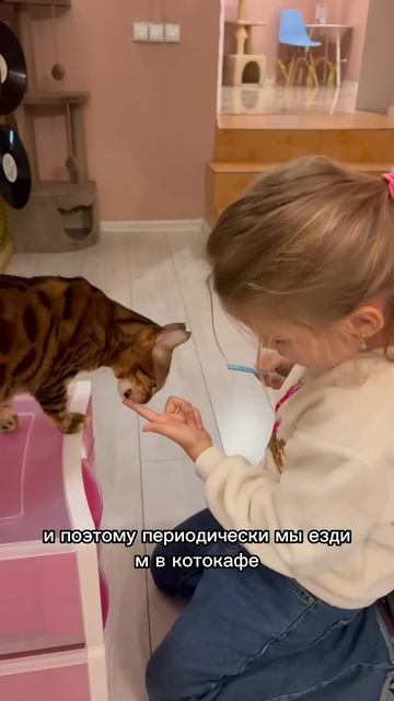 У кого есть кот дома? #молодаямама #мамавдекрете #дети # смотреть онлайн