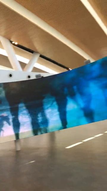 Аэропорт Платов (Ростов) смотреть онлайн