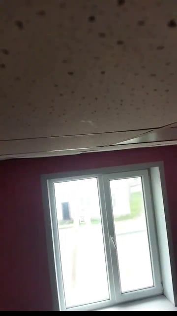 негр под крышей смотреть онлайн
