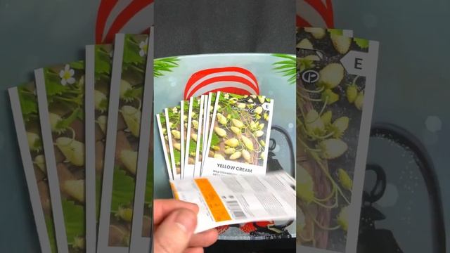 Почему жёлтая земляника должна быть на каждом участке смотреть онлайн