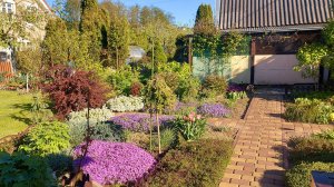 Любимая дача 08.05 2025.г.Творю красоту🤗☘💜💚💛#дачныебудни