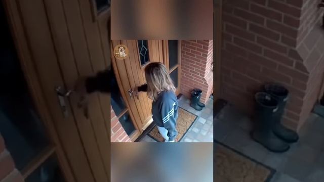 Для людей у которых есть собаки🤣 смотреть онлайн