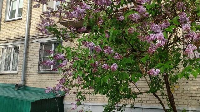 С праздником смотреть онлайн