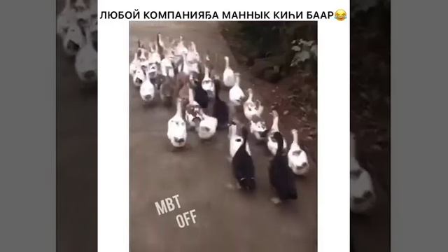 В Любой компании есть токой человек смотреть онлайн