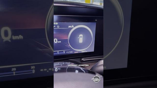 Kia Carnival для семьи лучше нет! смотреть онлайн