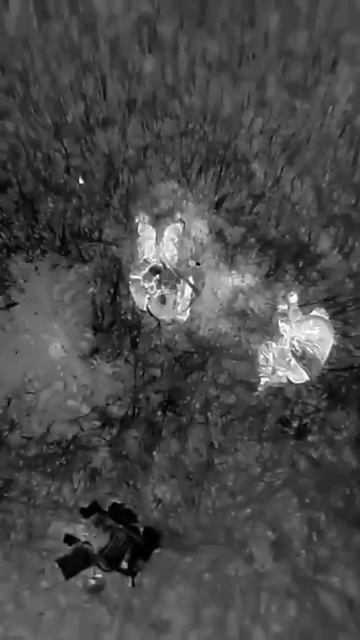 Граната упала орку на каску, а он даже не отреагировал?