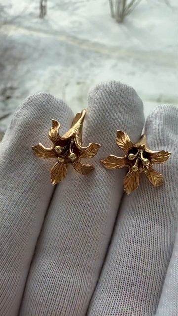 Цветы граната, ищите на авито смотреть онлайн