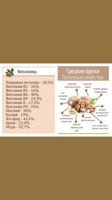 Польза и полезные свойства грецких орехов #грецкийоре смотреть онлайн