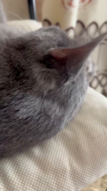 После выдающихся утренних дел, господин Сергей ушел н? смотреть онлайн