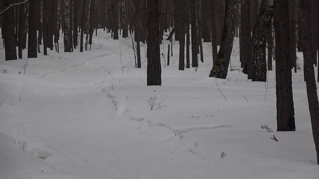 Летающие глазки смотреть онлайн