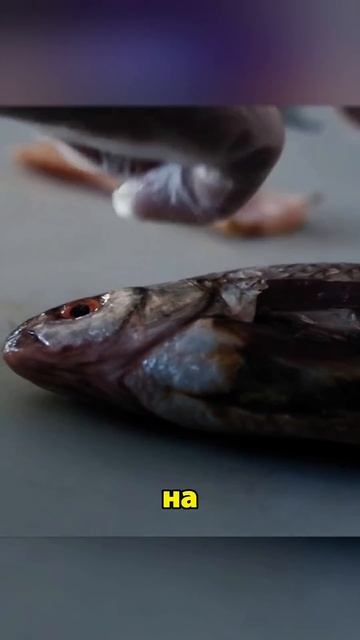 Девочка превратилась в русалку😱 #фильм #кино смотреть онлайн