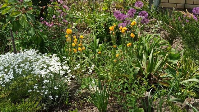 Красивый цветник Т. И. смотреть онлайн