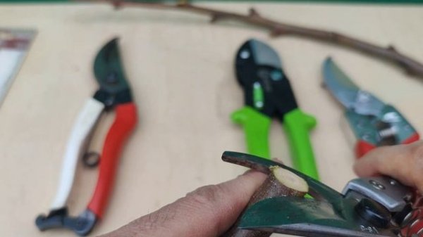 Секатор CHIKAMASA PSA G8