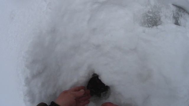 р. Мошевица разведал, Хариус есть смотреть онлайн