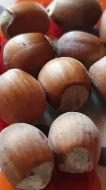 Три орешка для Золушки 2019 смотреть онлайн