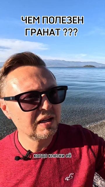 ЧЕМ ПОЛЕЗЕН ГРАНАТ? Рыбалко Юрий. #shorts #здоровье смотреть онлайн