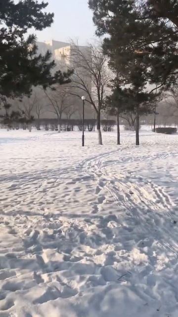 Украли елку в центре города смотреть онлайн